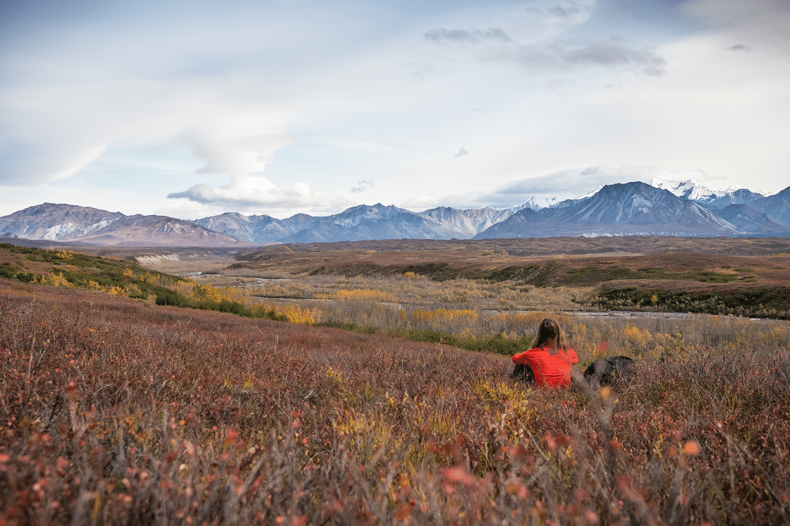 What You Need To Know About Alaska State Retirement Benefit Elections 